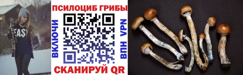 Купить  Сатка  Галлюциногенные грибы GOLDEN TEACHER 